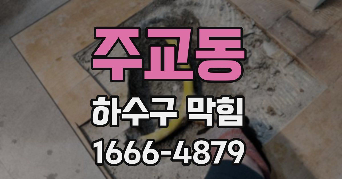 주교동 하수구 막힘
