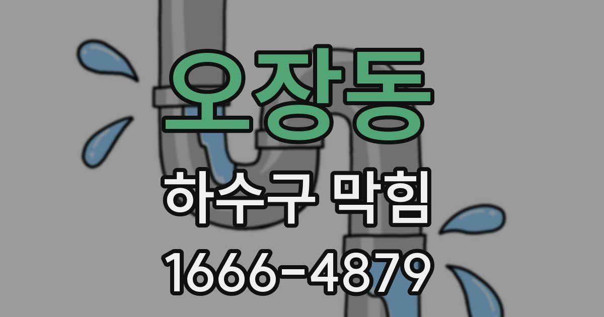 오장동 하수구 막힘