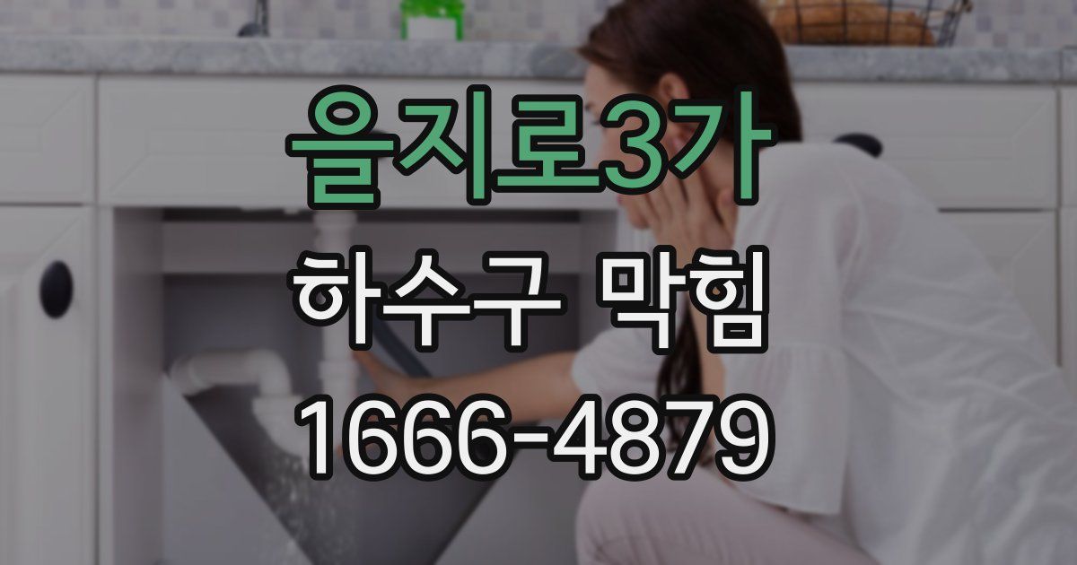 을지로3가 하수구 막힘