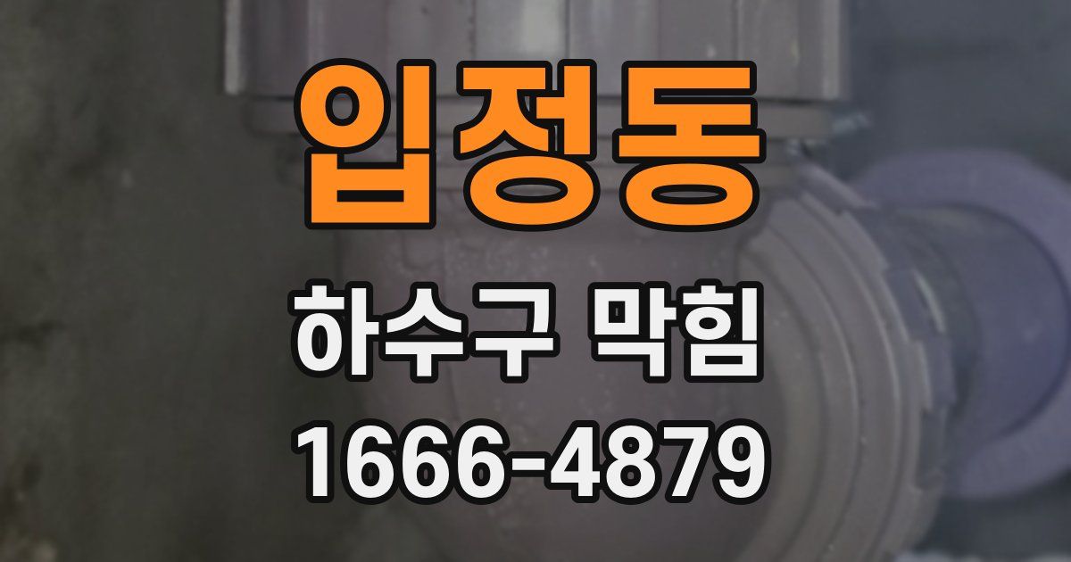 입정동 하수구 막힘