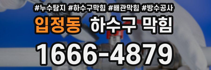 입정동 하수구 막힘
