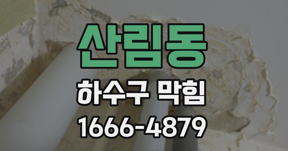 산림동 하수구 막힘