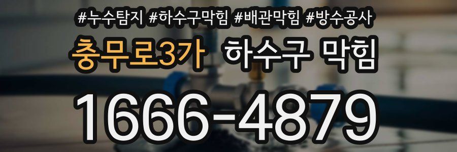 충무로3가 하수구 막힘