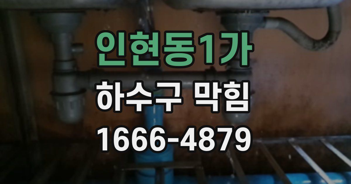 인현동1가 하수구 막힘