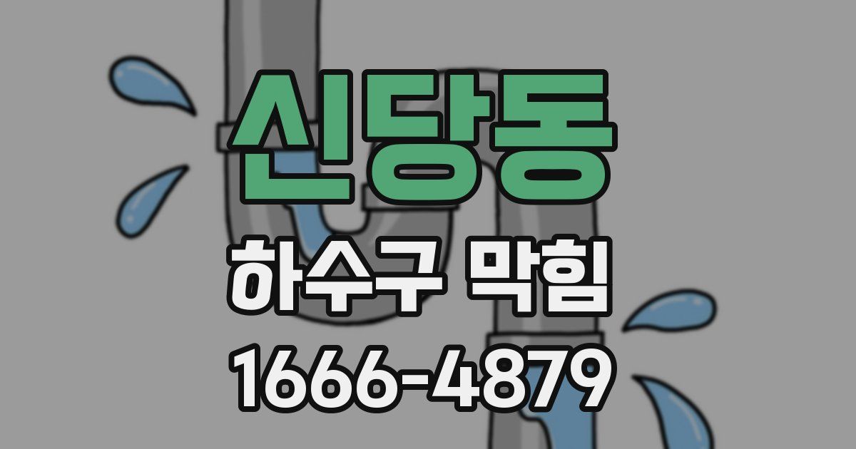 신당동 하수구 막힘