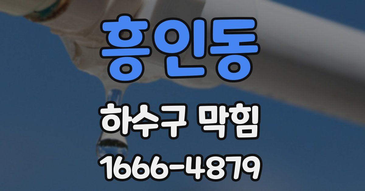 흥인동 하수구 막힘