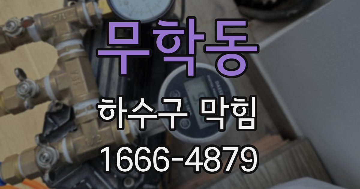 무학동 하수구 막힘