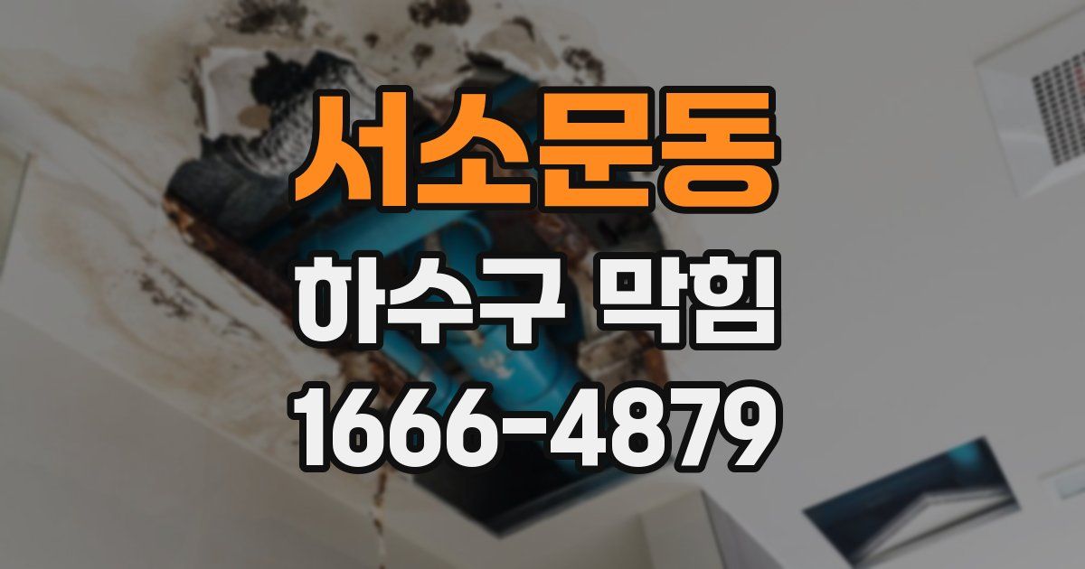 서소문동 하수구 막힘