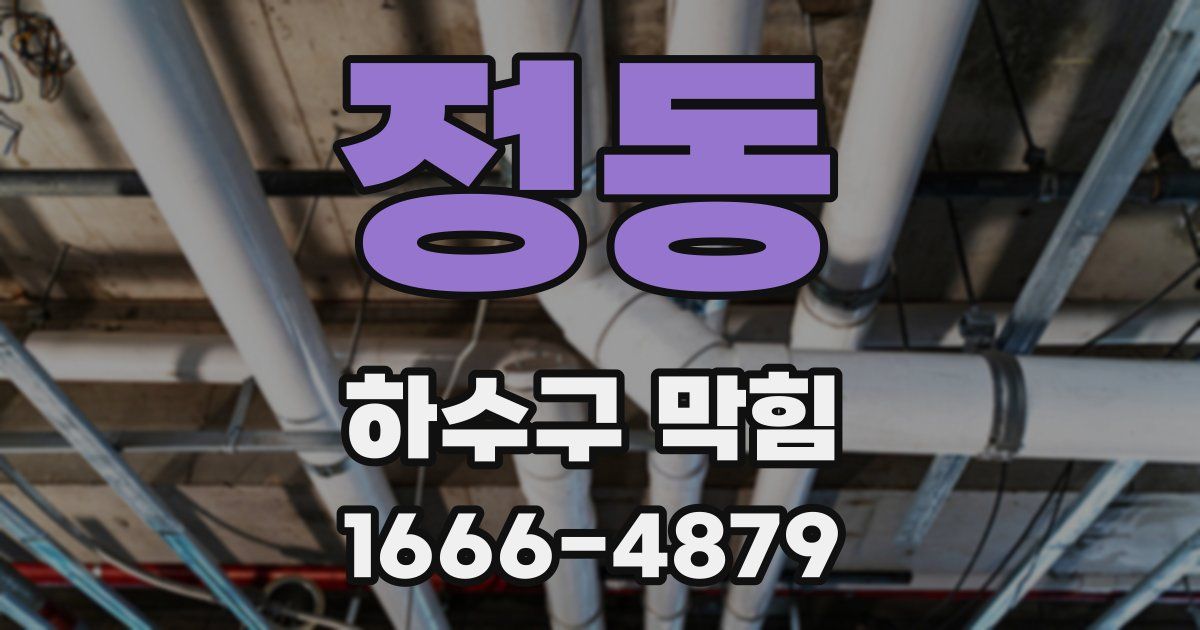 정동 하수구 막힘