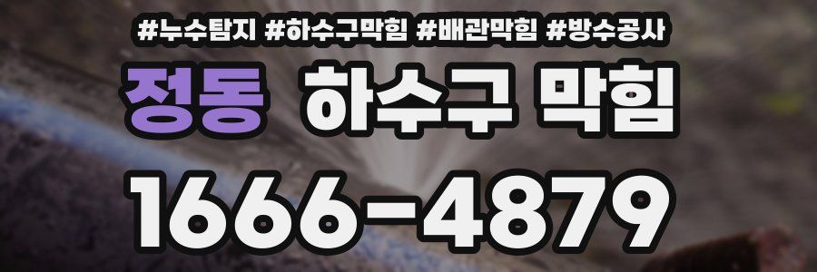 정동 하수구 막힘