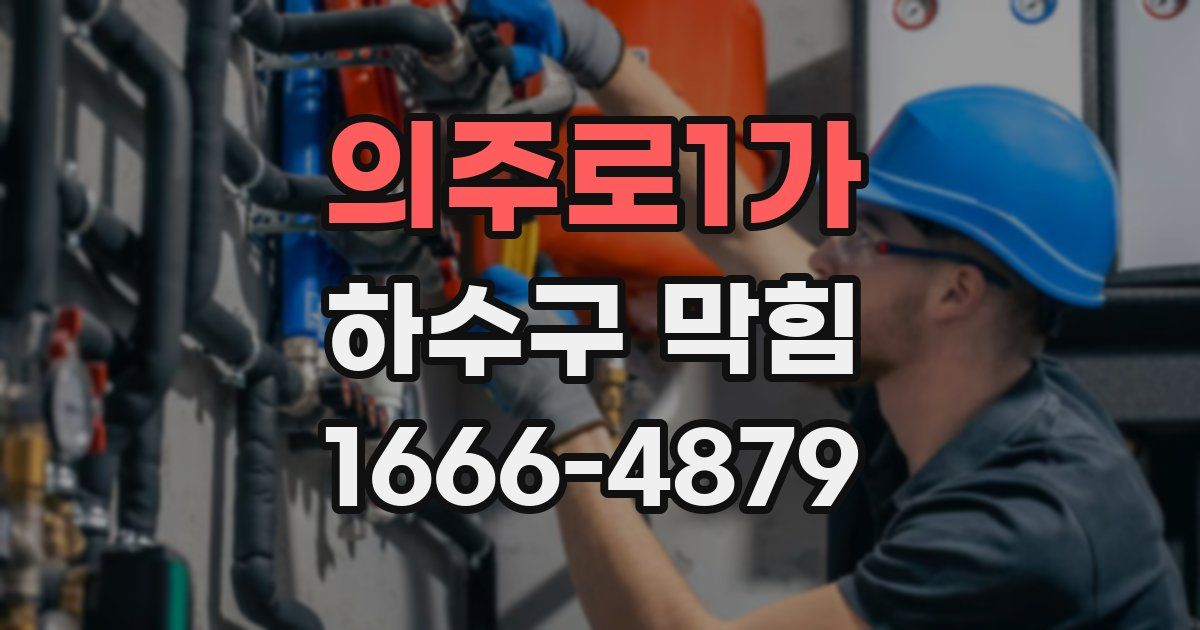 의주로1가 하수구 막힘