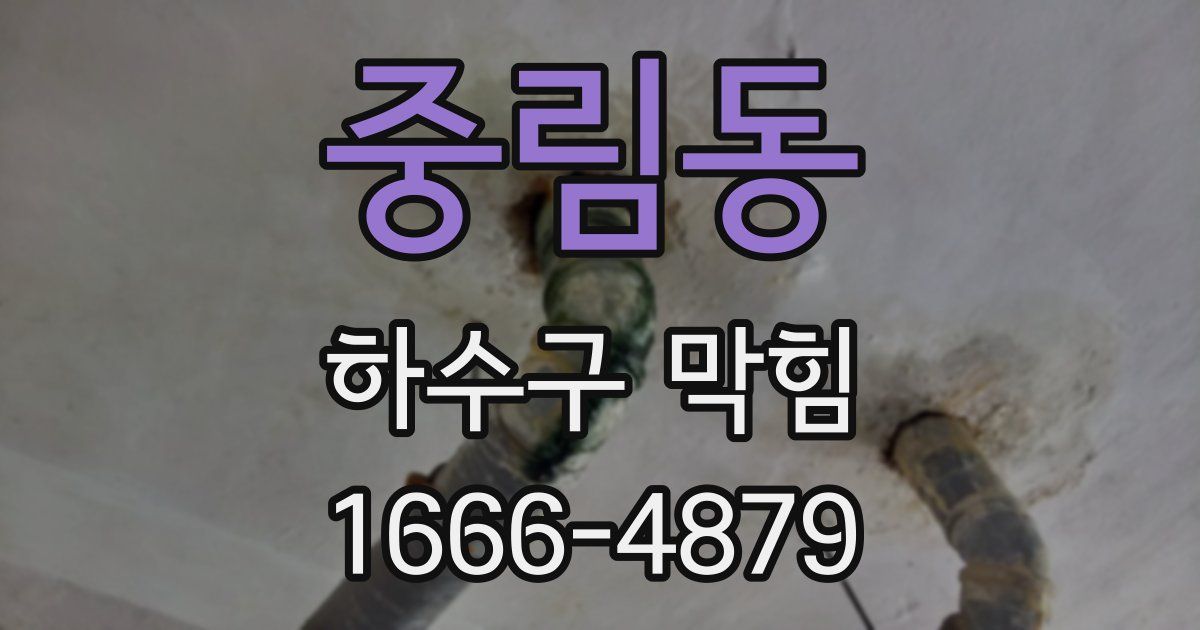 중림동 하수구 막힘