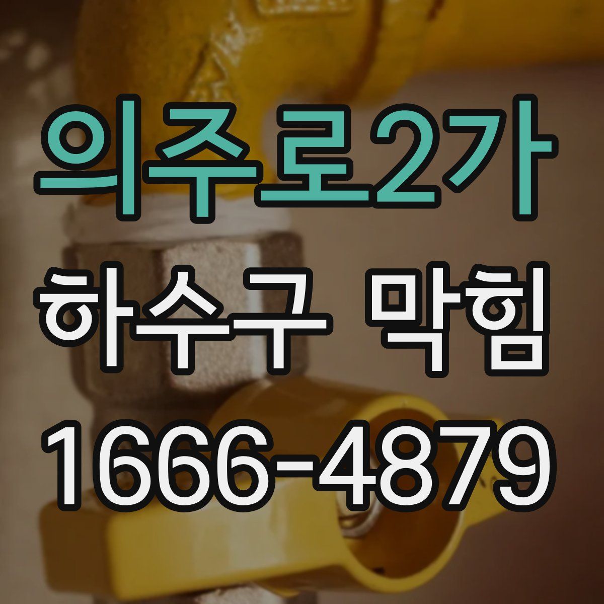 의주로2가 하수구 막힘