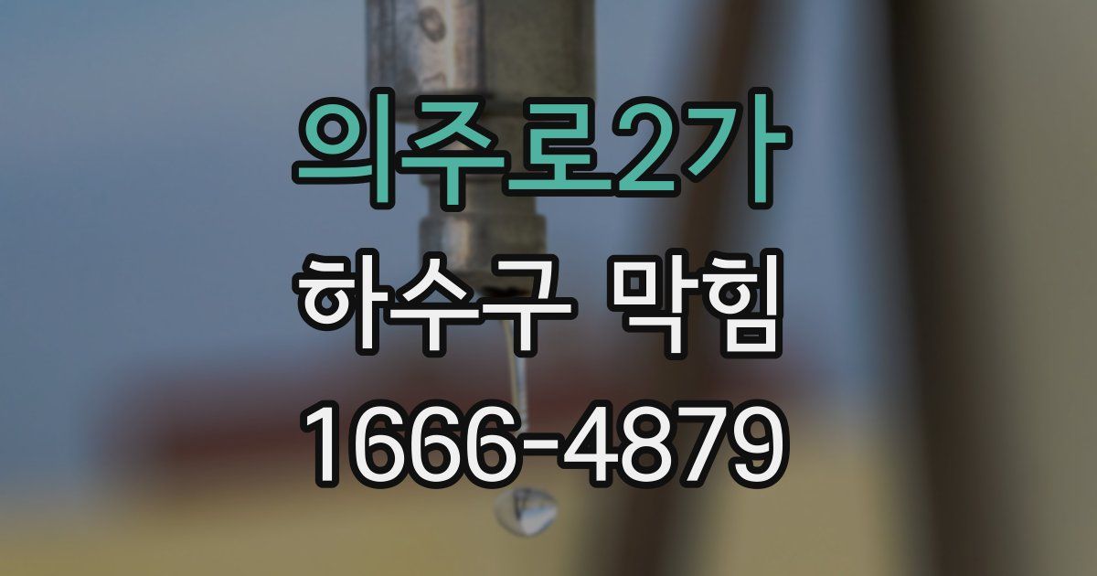 의주로2가 하수구 막힘
