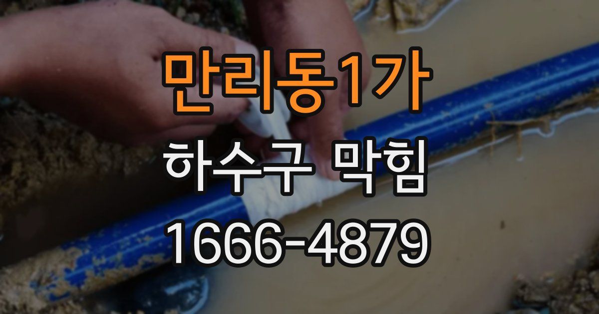 만리동1가 하수구 막힘