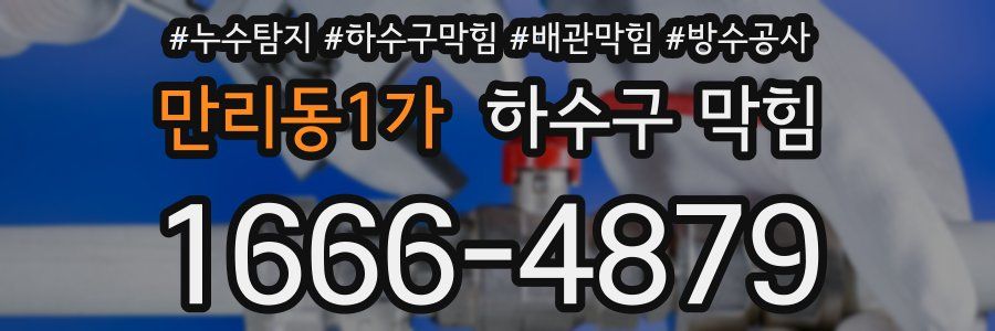 만리동1가 하수구 막힘