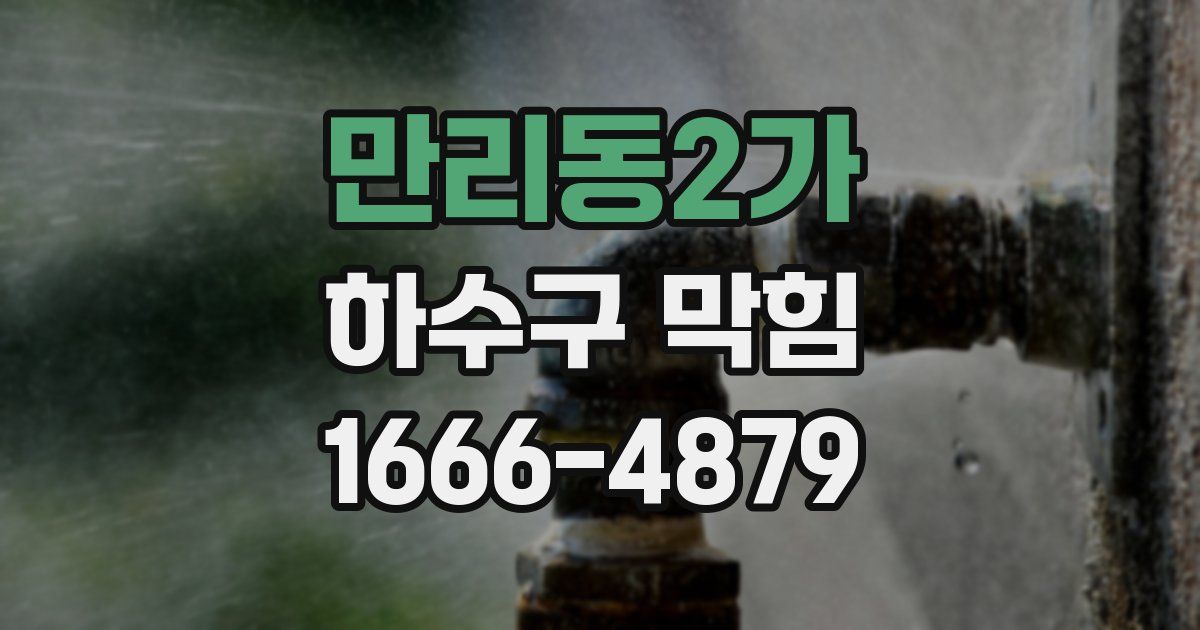만리동2가 하수구 막힘