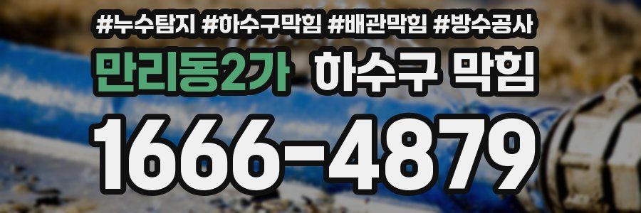 만리동2가 하수구 막힘