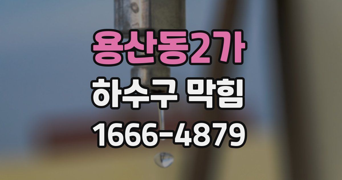 용산동2가 하수구 막힘