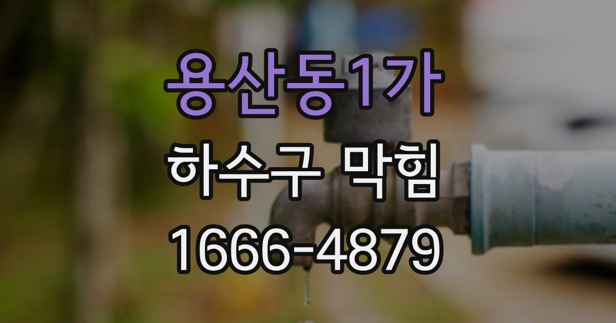 용산동1가 하수구 막힘