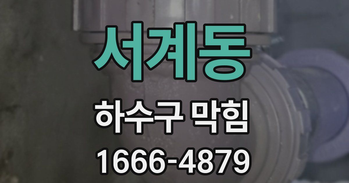 서계동 하수구 막힘
