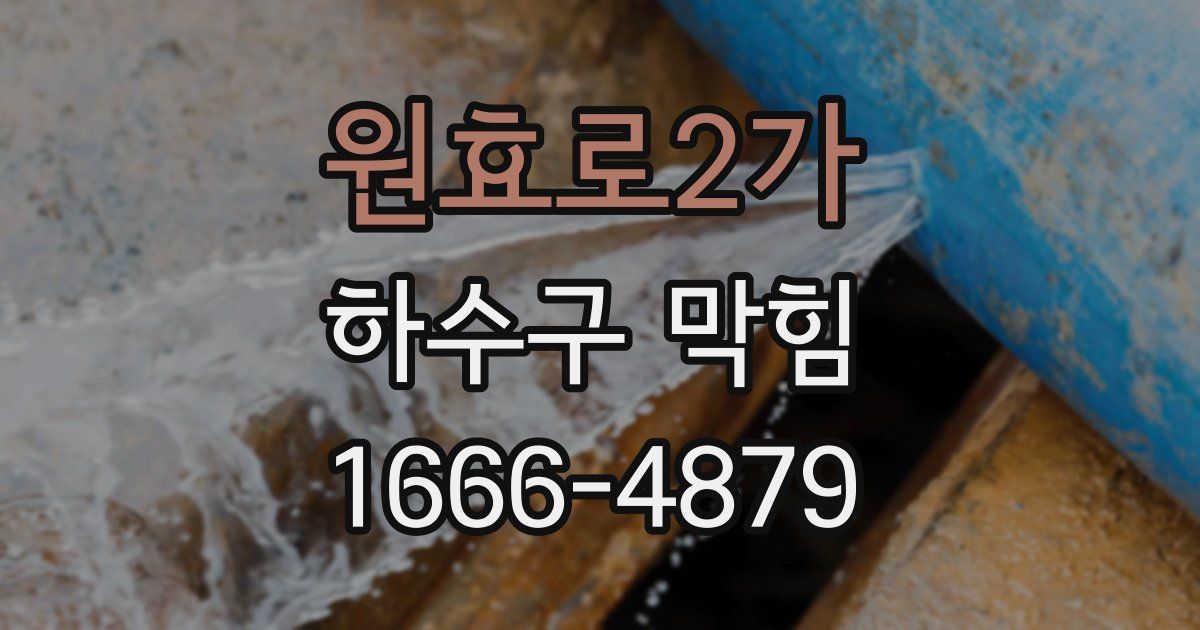 원효로2가 하수구 막힘