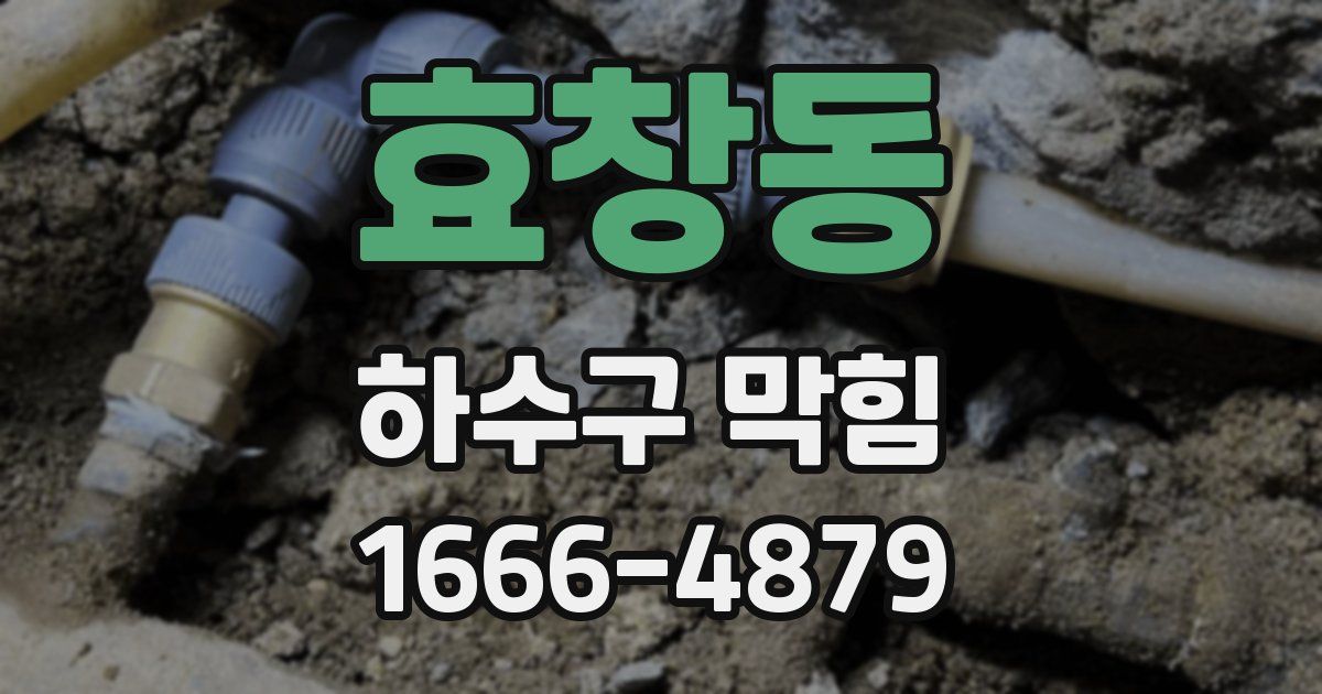 효창동 하수구 막힘