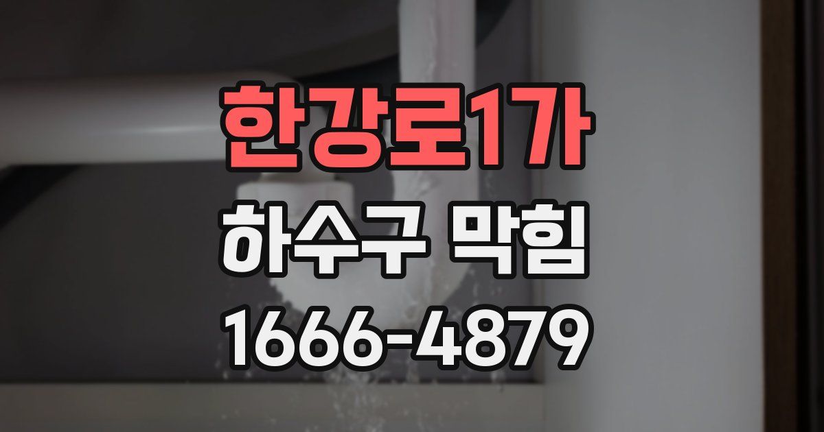 한강로1가 하수구 막힘