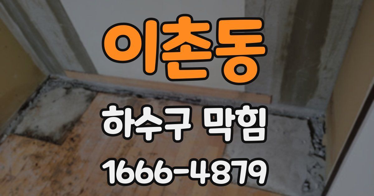 이촌동 하수구 막힘