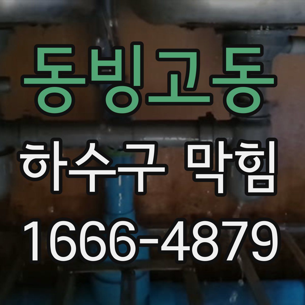동빙고동 하수구 막힘