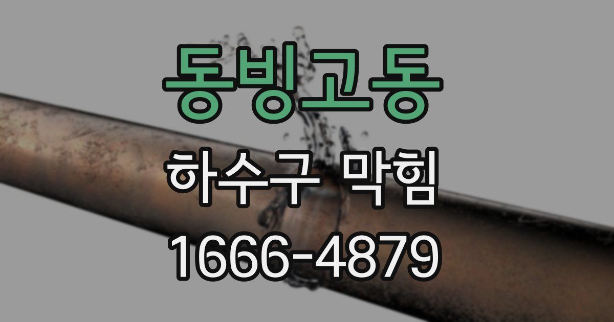 동빙고동 하수구 막힘
