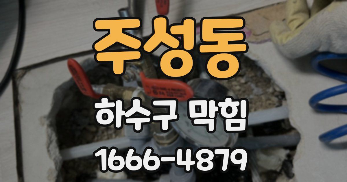 주성동 하수구 막힘