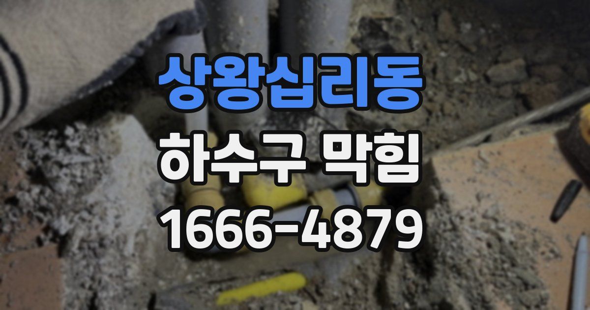 상왕십리동 하수구 막힘
