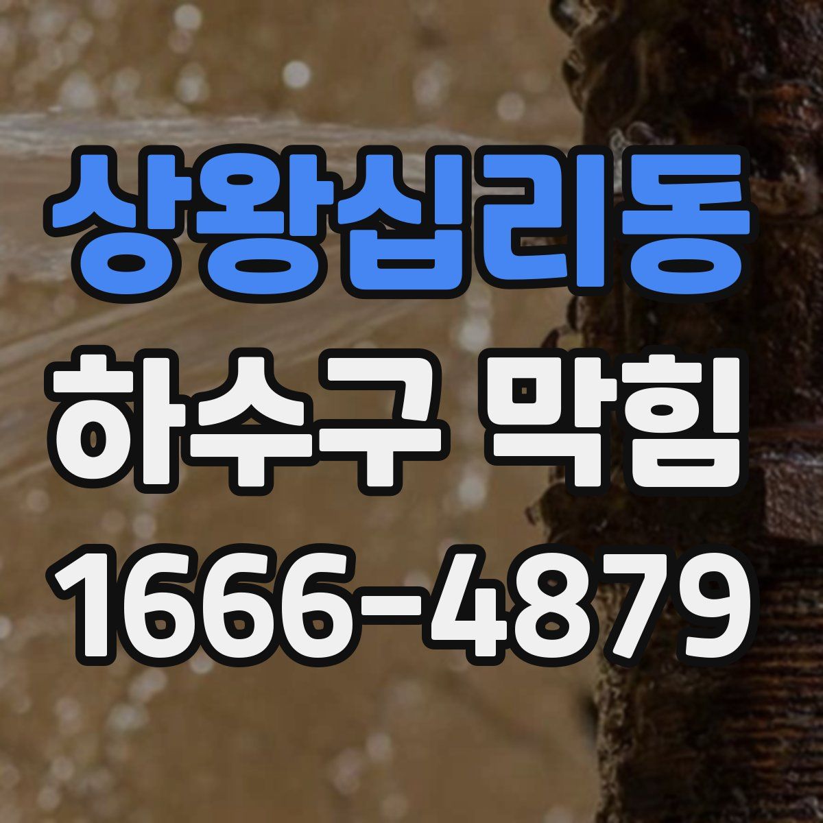 상왕십리동 하수구 막힘