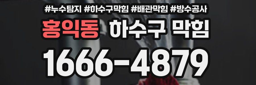 홍익동 하수구 막힘