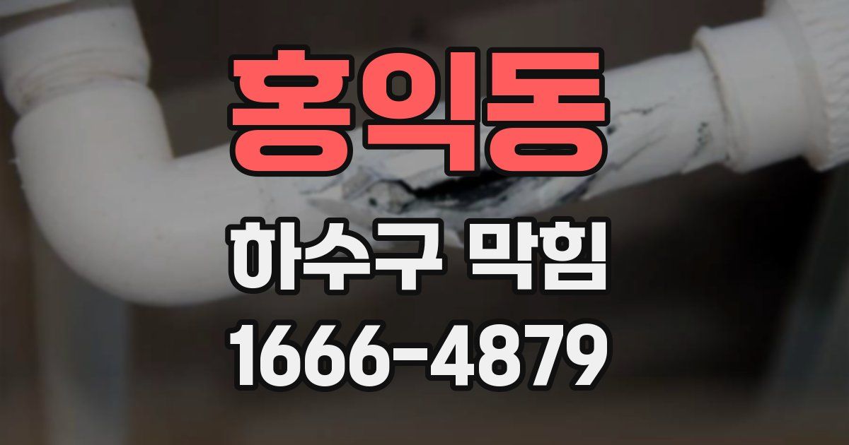 홍익동 하수구 막힘