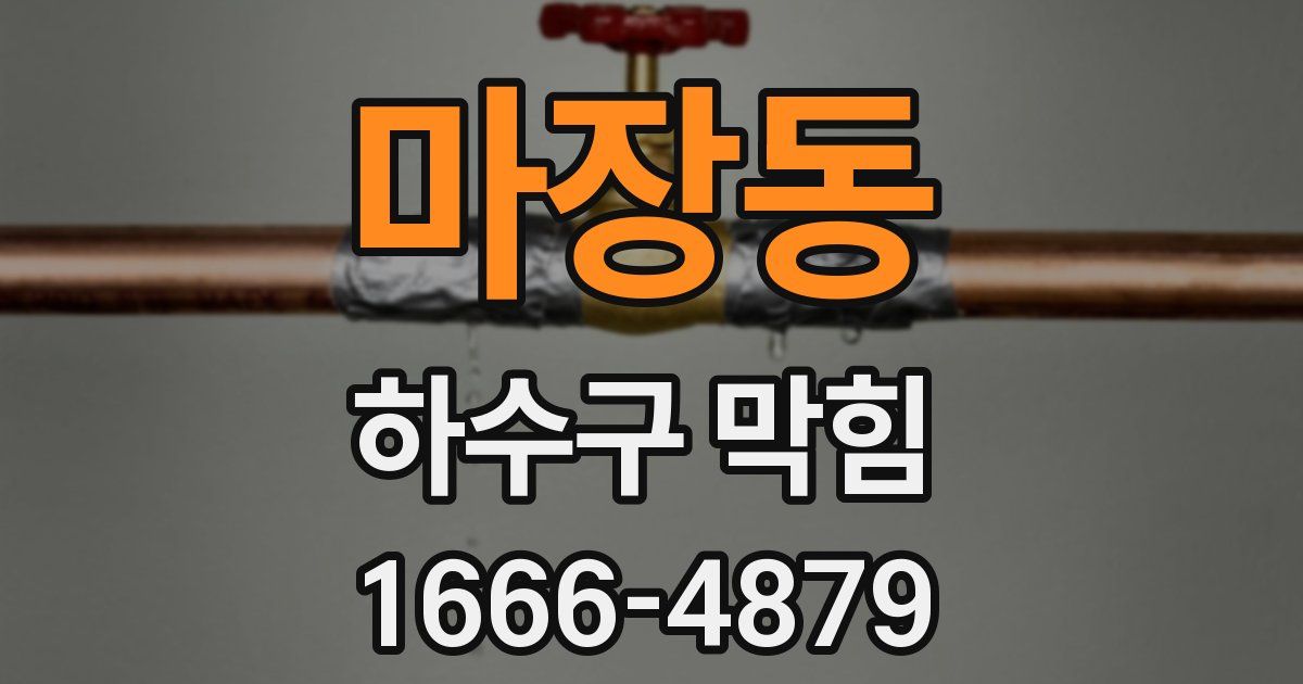 마장동 하수구 막힘