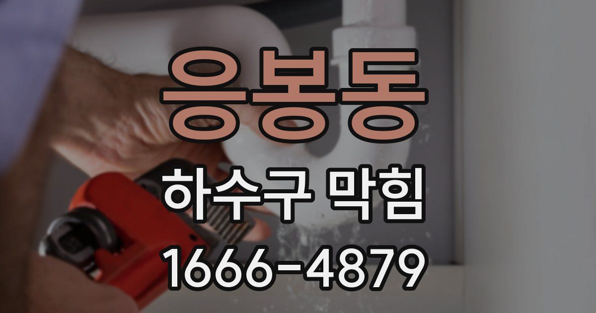 응봉동 하수구 막힘