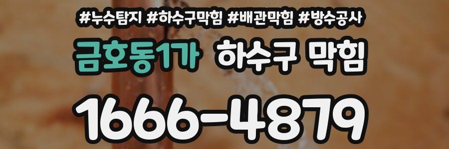 금호동1가 하수구 막힘
