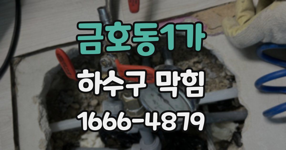 금호동1가 하수구 막힘