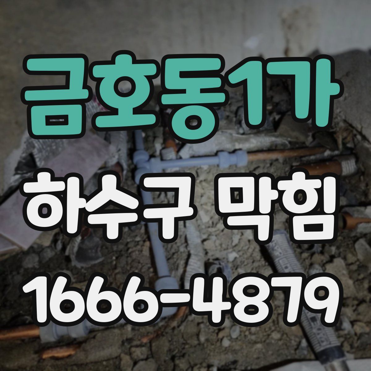 금호동1가 하수구 막힘