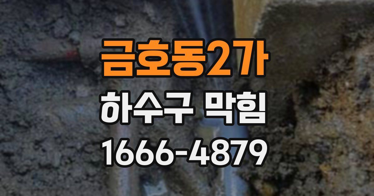 금호동2가 하수구 막힘
