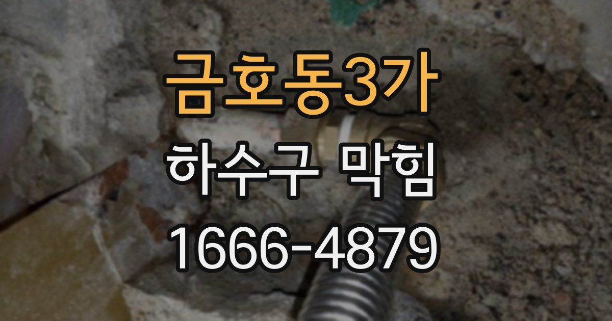 금호동3가 하수구 막힘