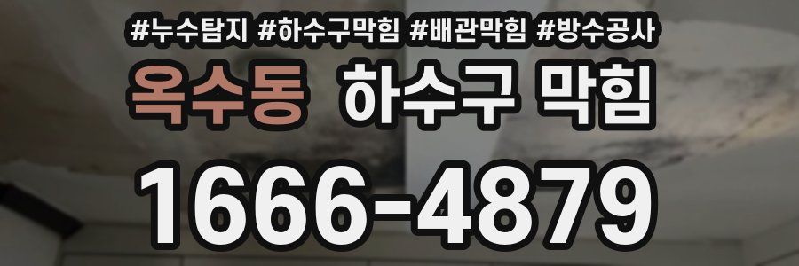 옥수동 하수구 막힘