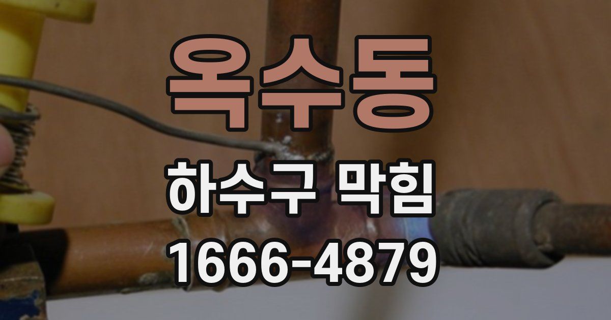 옥수동 하수구 막힘
