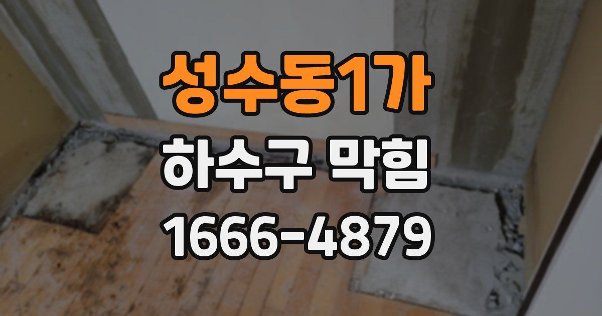 성수동1가 하수구 막힘