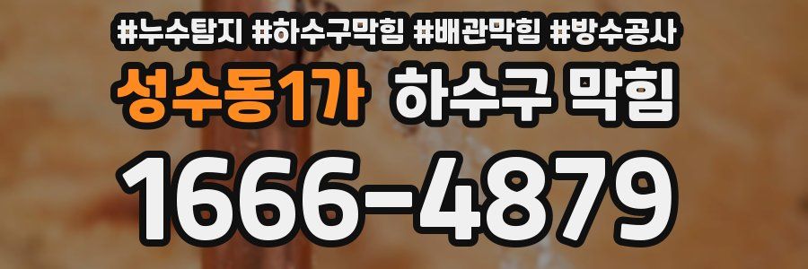 성수동1가 하수구 막힘