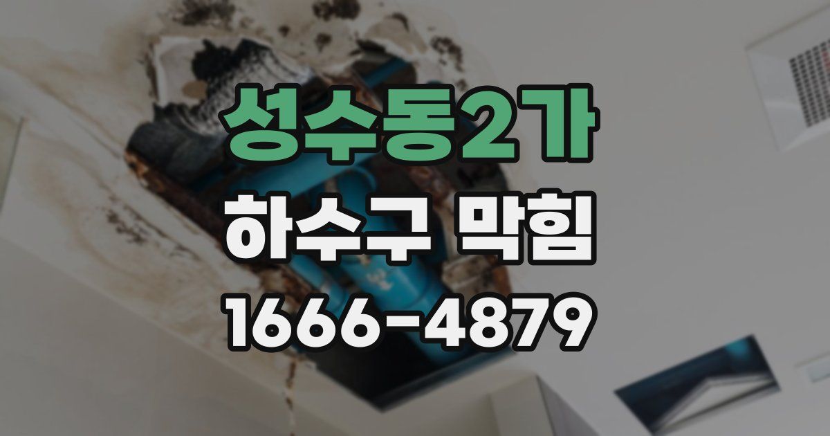 성수동2가 하수구 막힘