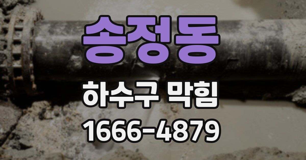 송정동 하수구 막힘