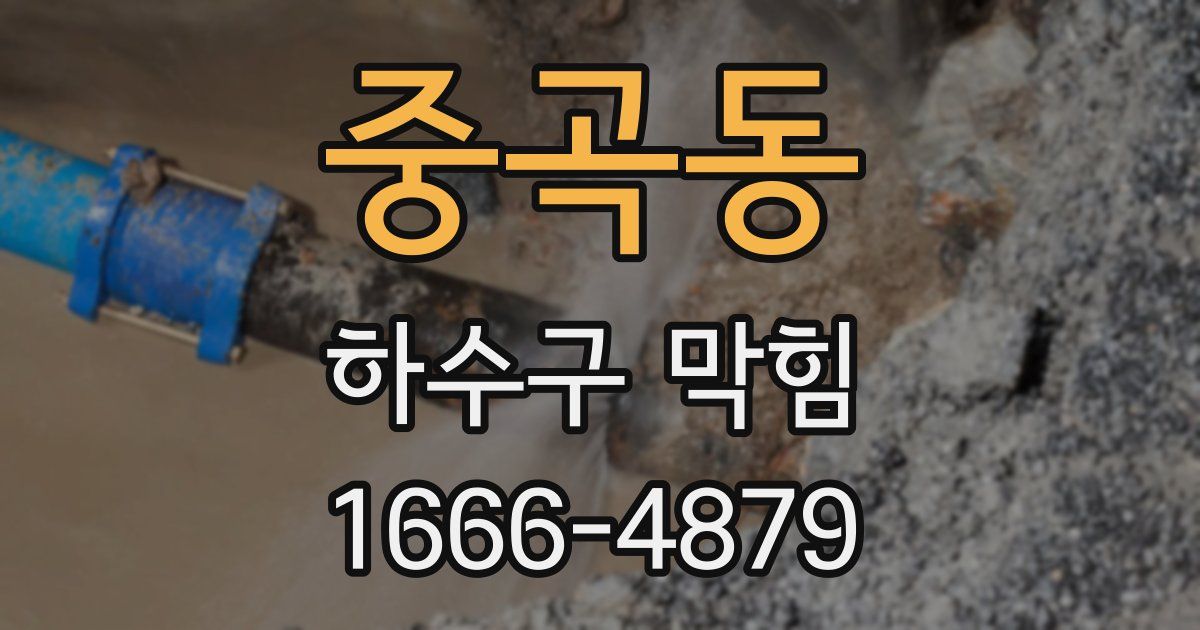 중곡동 하수구 막힘